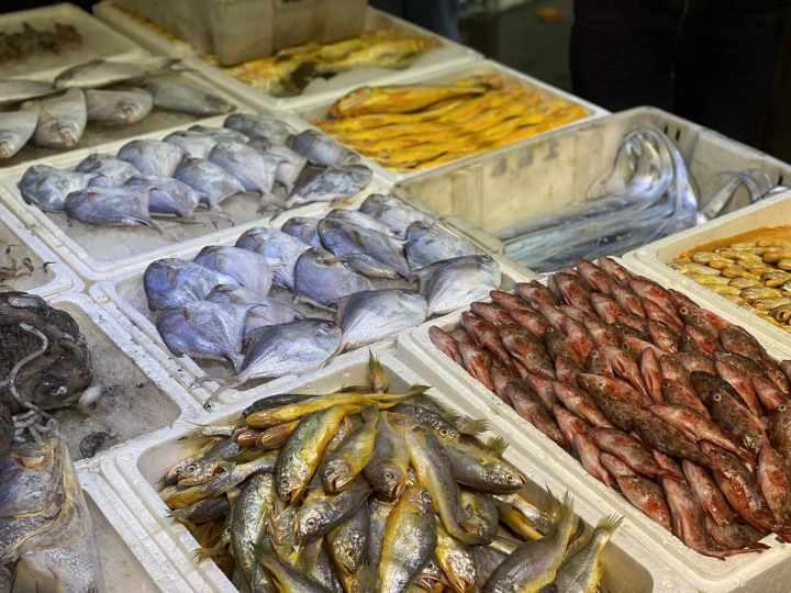 科技引领未来,带鱼市场最新行情深度解析