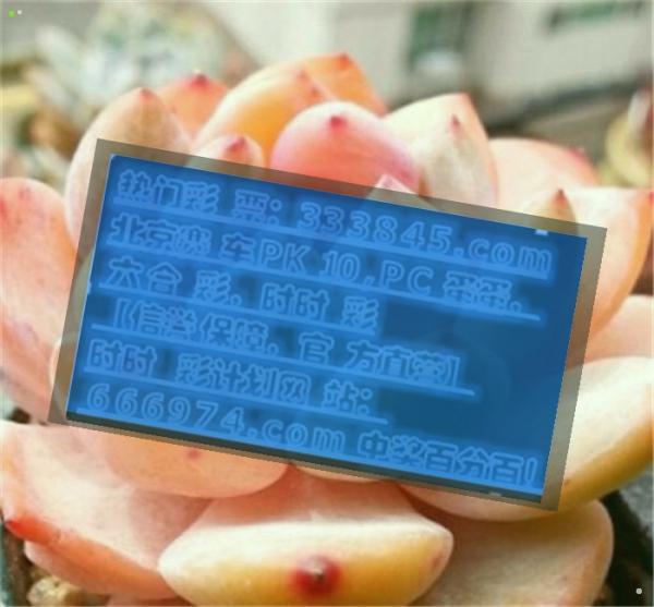 管家婆一码中一肖630集团,社会承担实践战略_DZS34.387设计师版