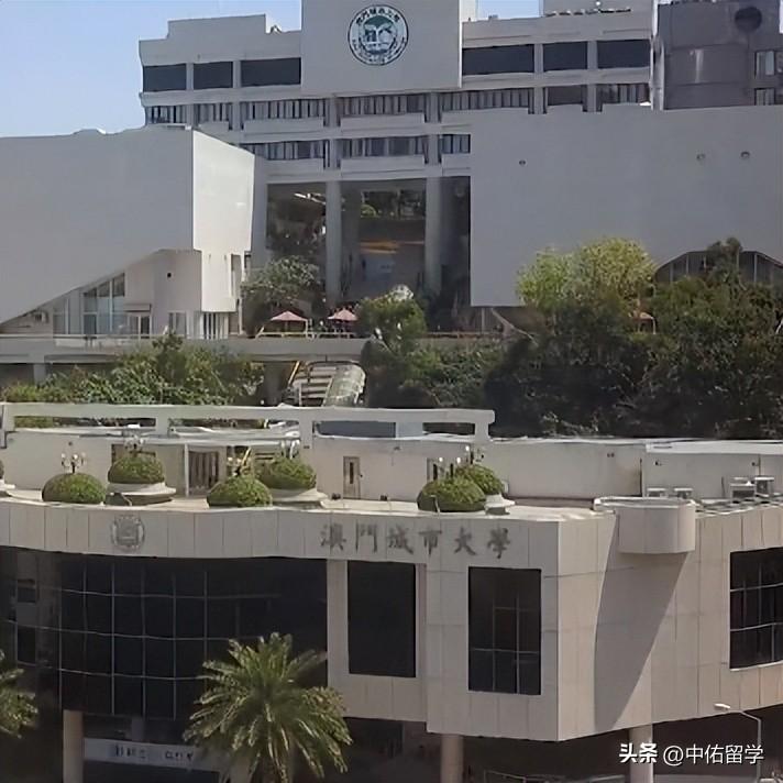 2024澳门天天开好彩大全,实地验证策略具体_THO34.535月光版