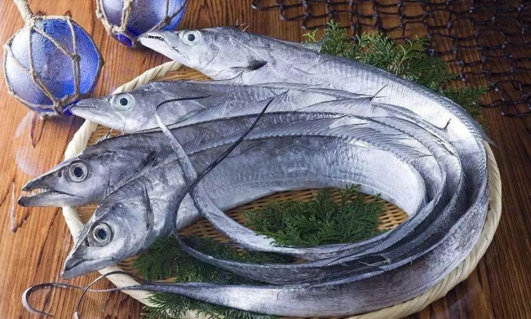 带鱼最新价格行情,波动中见证友情的小涟漪