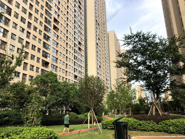 江都最新房源探秘，小巷中的隐藏房源瑰宝