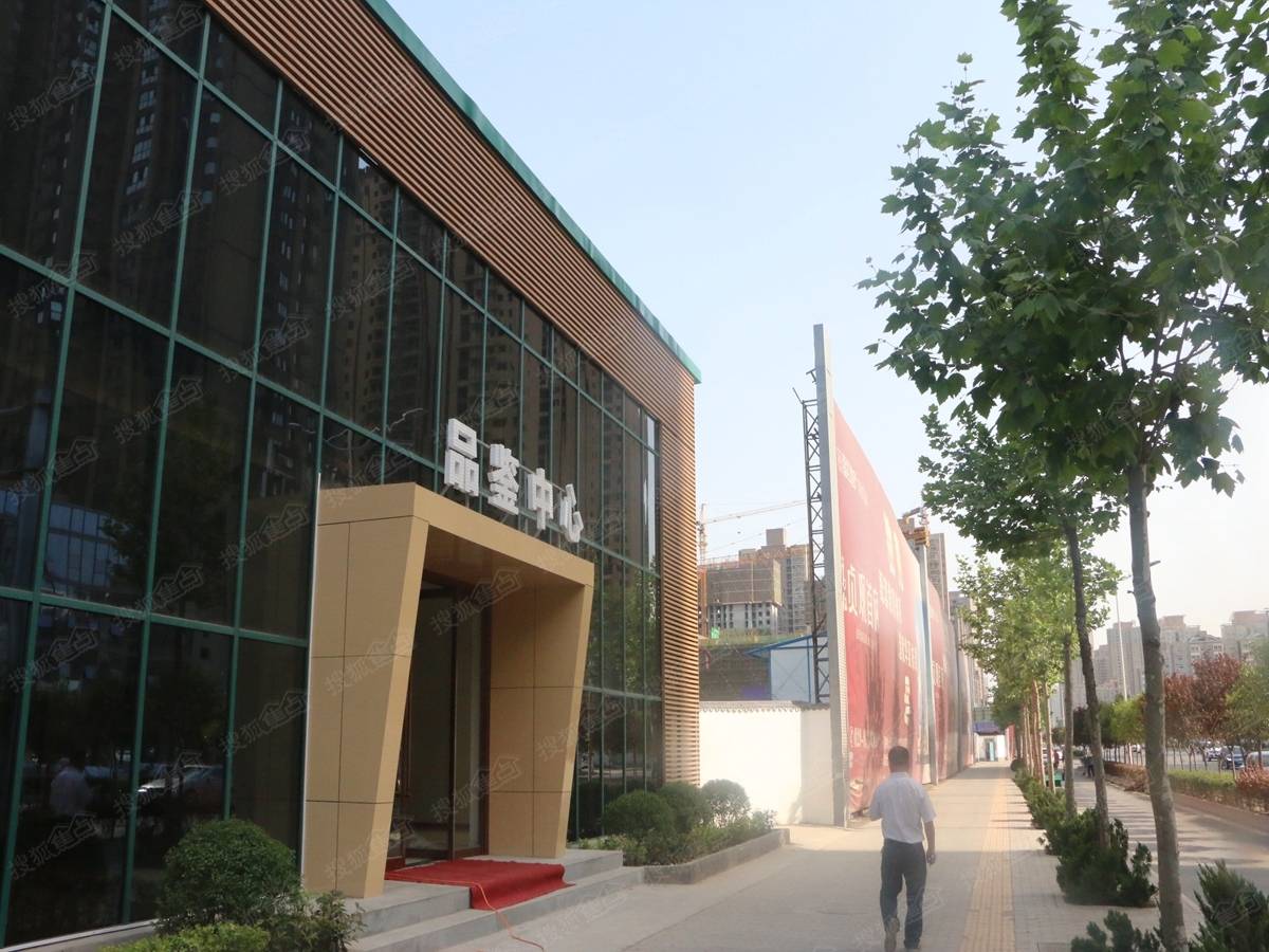 贞观首府最新动态揭秘，温馨日常的趣事与情感纽带展露风采