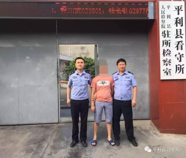 平利最新新闻动态更新✨