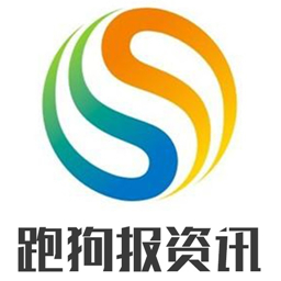 香港正版免费资料跑狗图,实践调查说明_JVM34.736采购版