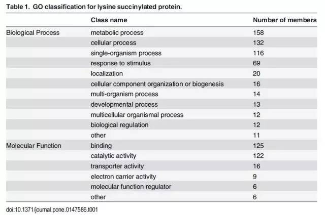 2024新奥正版资料免费大全,最新答案,数据化决策分析_UGO34.492智巧版