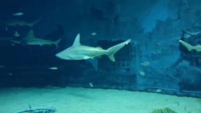 新澳精选资料,海洋学_QPP34.327超高清版