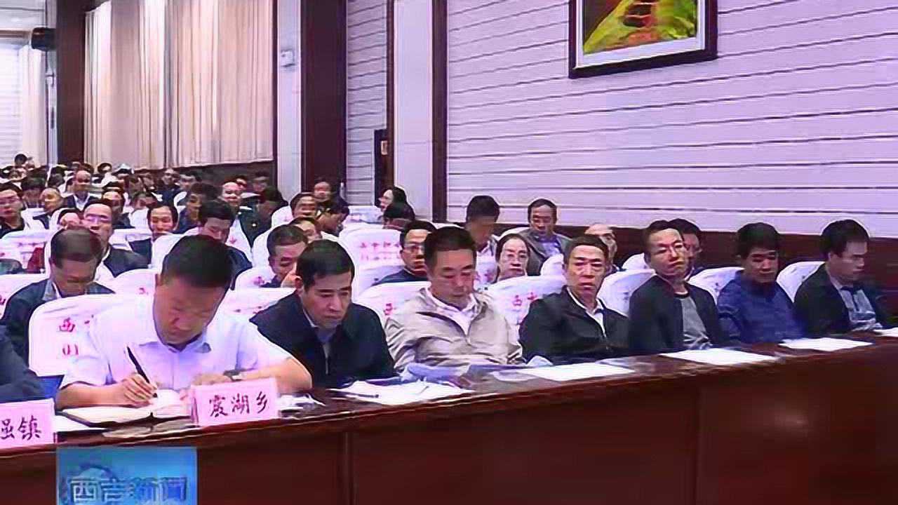 西吉最新新闻，爱与陪伴的温馨日常趣事传递