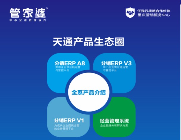 2024管家婆精准资料第三,创新策略设计_HTG34.373安全版