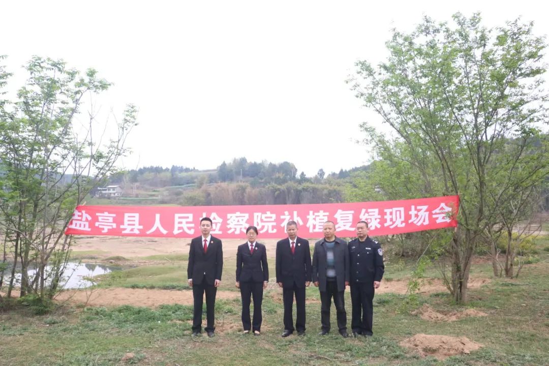 盐亭最新新闻报道