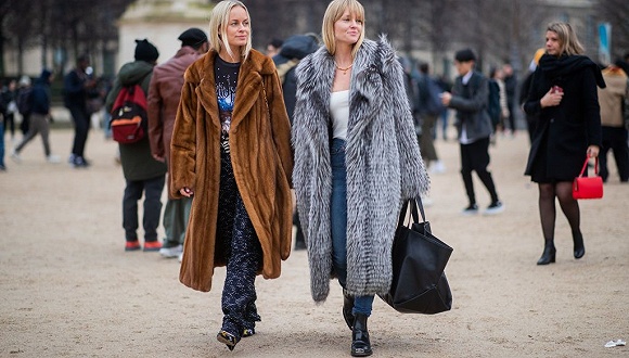 河北皮毛最新价格及友情小插曲概述