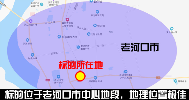 新闻中心 第355页