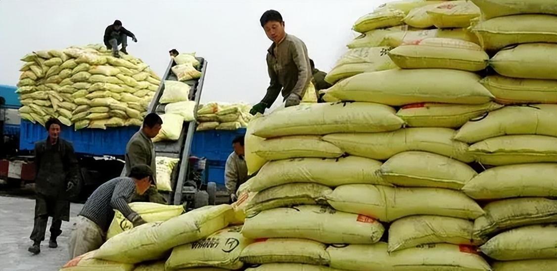 最新化肥行情分析与趋势预测