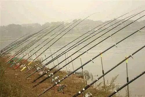 揭秘最新钓鱼工具，探索高效钓鱼利器🎣✨