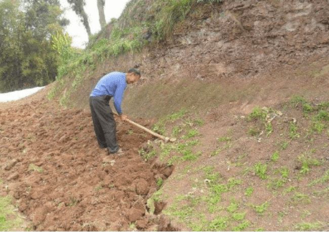 澳门最精准真正最精准龙门蚕,專家解析意見_UZB49.985明星版