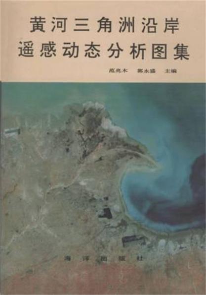 2024港澳图库彩图大全,动态解读分析_NPV49.454先锋版