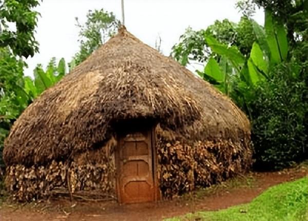 老奇人最准资料大全最新,专业数据点明方法_JKG49.150随行版