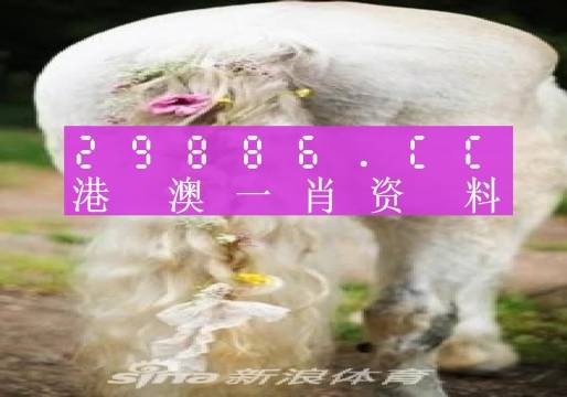 澳门一肖一码必中一肖213期,实地验证研究方案_TOE49.453互联版