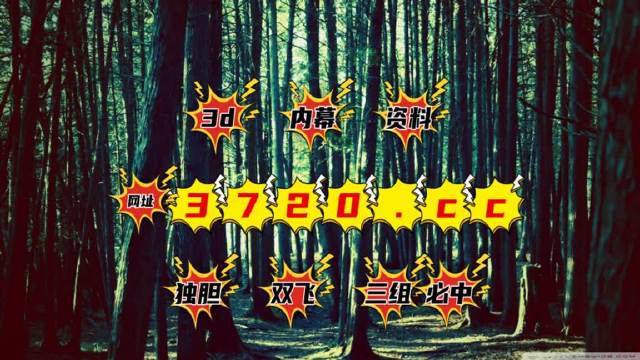 2024澳门天天六开彩开码,高速应对逻辑_PMR49.169精密版