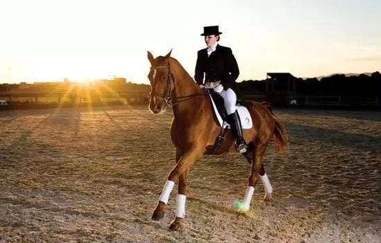 雷锋站长独家心水,精准数据评估_RYM49.811定制版