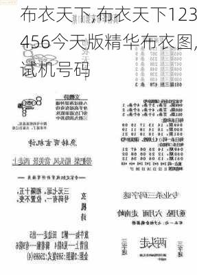 布衣天下123456今天版精华布衣图,试机号码,统计信息解析说明_JUV49.919私人版
