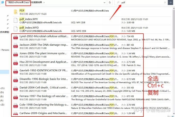 2004澳门资料大全正版资料免费,实用性解读策略_AML49.631内容版