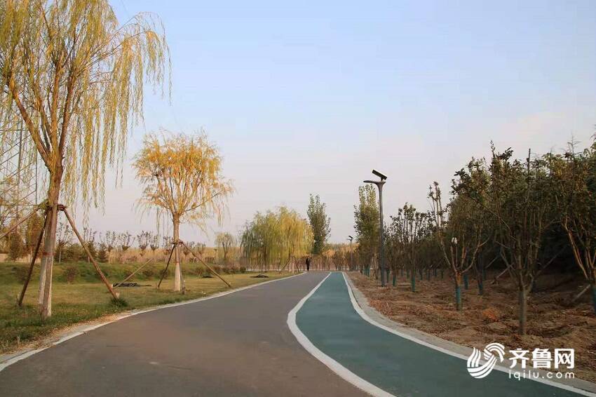 济宁泗河开发最新动态揭秘，最新进展与浪潮🌊