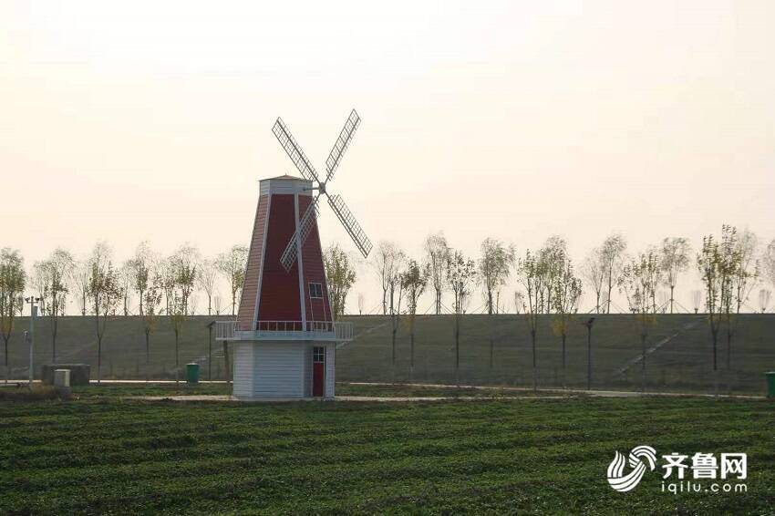 济宁泗河开发最新动态揭秘,最新进展与浪潮🌊