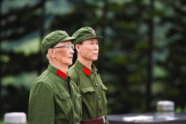 参战留守人员最新认定的全面解读与案例分析，政策解读与实例分析总结报告