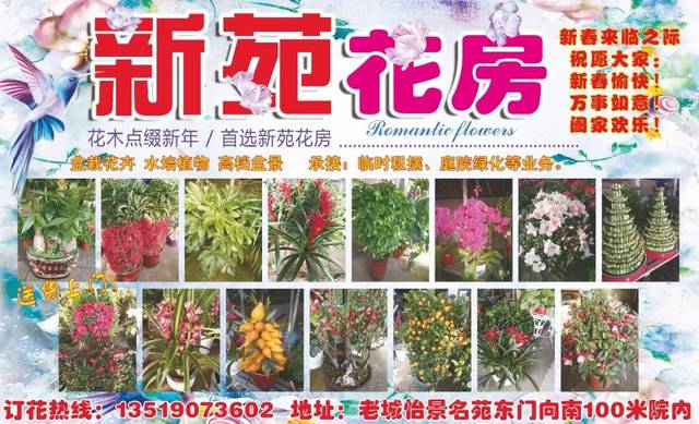 酒泉红柳广告最新版使用指南揭秘