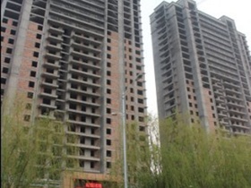 东方明系列最新更新,自然美景探索之旅