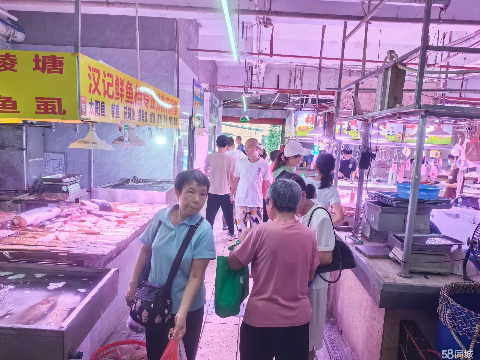 番禺最新肉菜市场招租，科技引领肉菜交易新时代