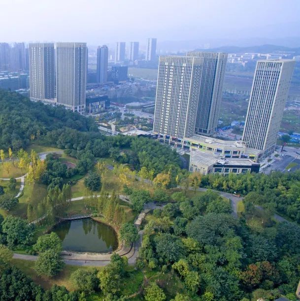 小红书揭秘,重庆茶园新区最新动态与消息✨