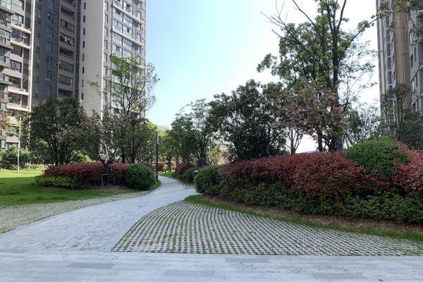 融科梧桐里最新房价动态及市场趋势,购房指南与实时更新信息