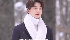 焦恩俊与吴京，演艺界动作巨星的新动态揭秘