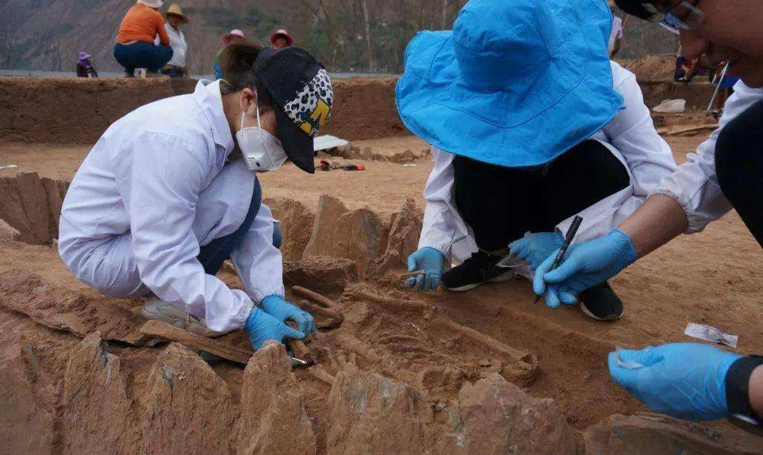 野外考古队最新招聘,追溯历史脉络,探寻文明印记之旅