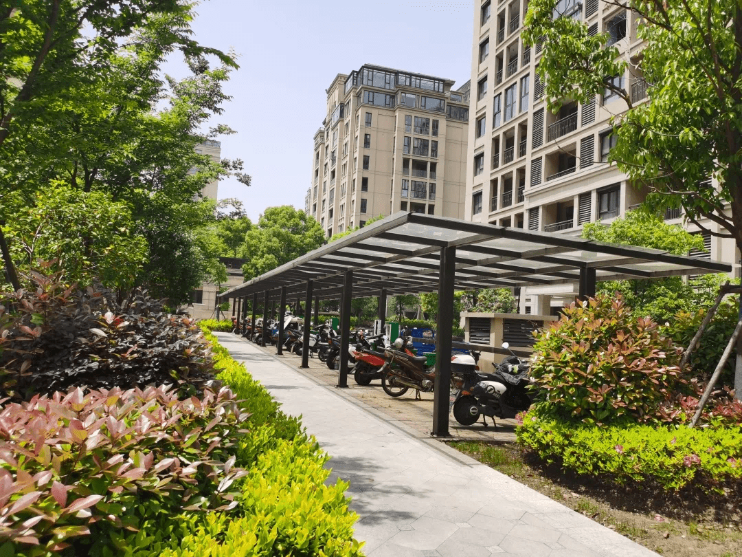 南通房屋拍卖最新动态,小巷深处的隐藏瑰宝揭秘