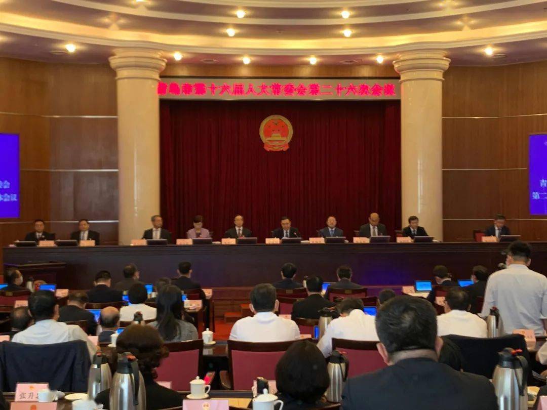 山东省人大最新任免,多维度下的审视与观点碰撞分析