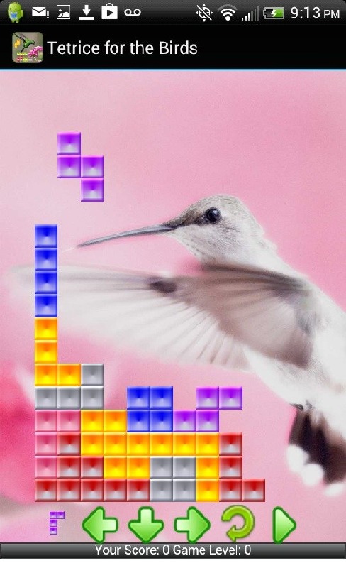 探索最新入口，警惕犯罪风险，11etet最新地址揭秘与前沿资讯体验