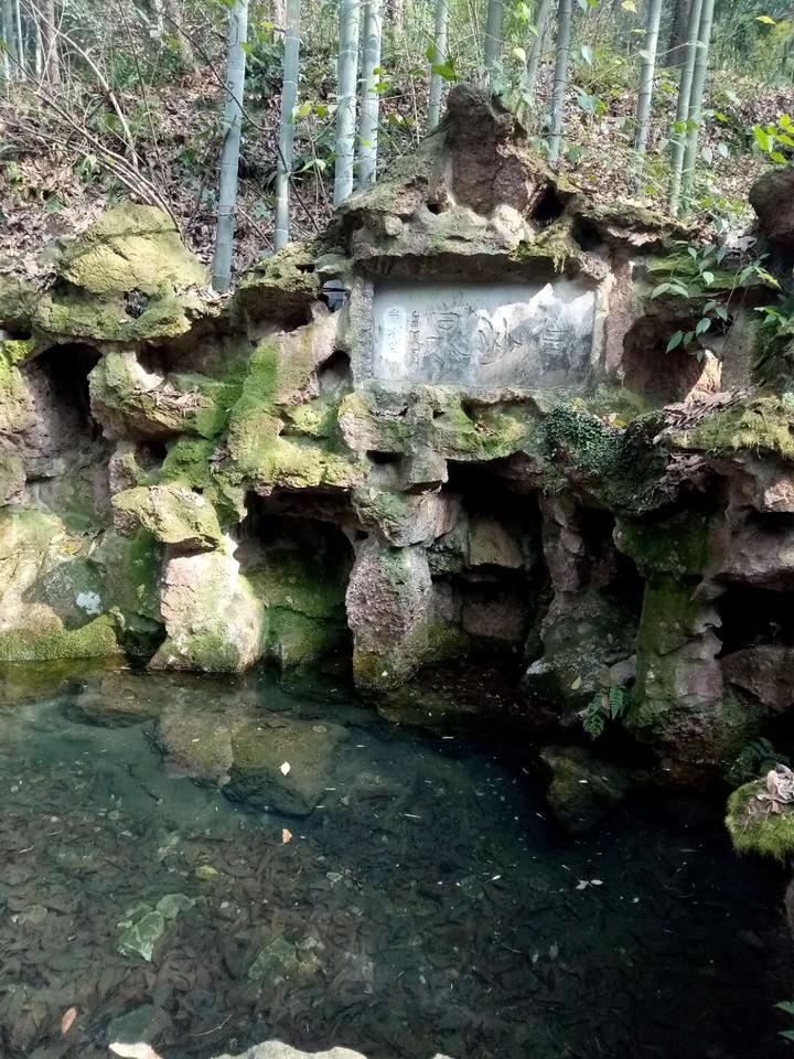 杭州白沙泉最新动态更新