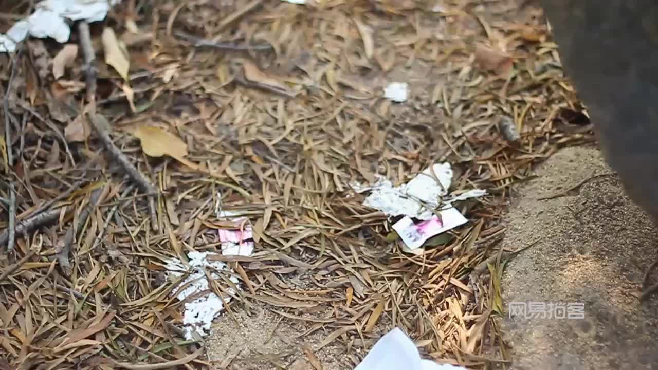 探索自然美景之旅，最新拍客男女野战图片揭示内心平静之道