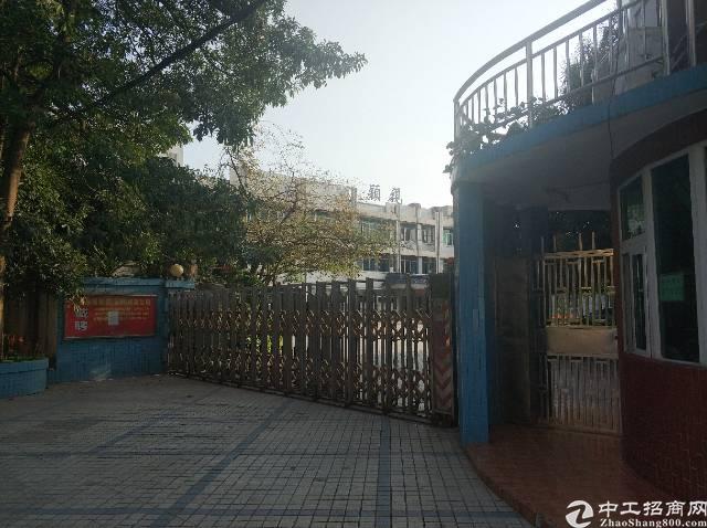 南阳市最新独院出售信息