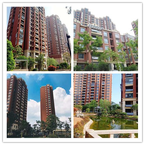 最新中兴文华园房价,变化中的机遇与自我成长的力量探索