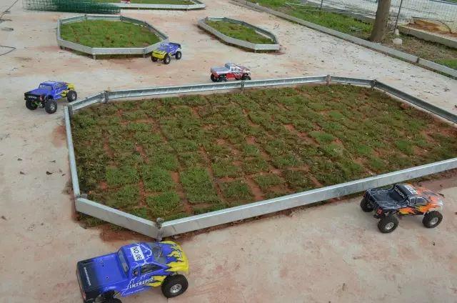 公园野战视门视频最新探讨与观察