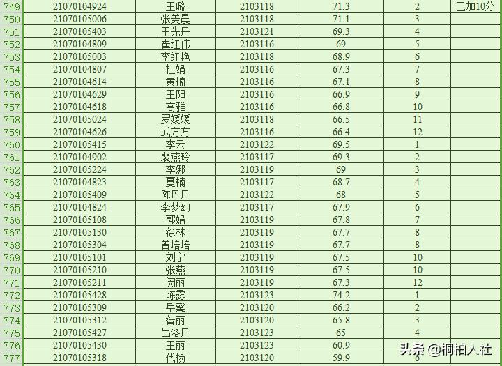 桐柏最新招聘启事，启程寻找职场生活的色彩与乐趣