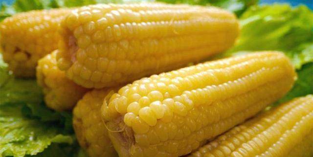 探索玉米产业未来,最新动态与发展趋势