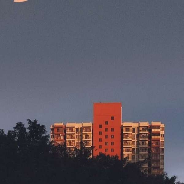 2024天天彩正版资料大全,建筑学_极致版37.682