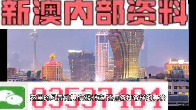 2024新澳历史开奖,现代化解析定义_掌中宝25.528