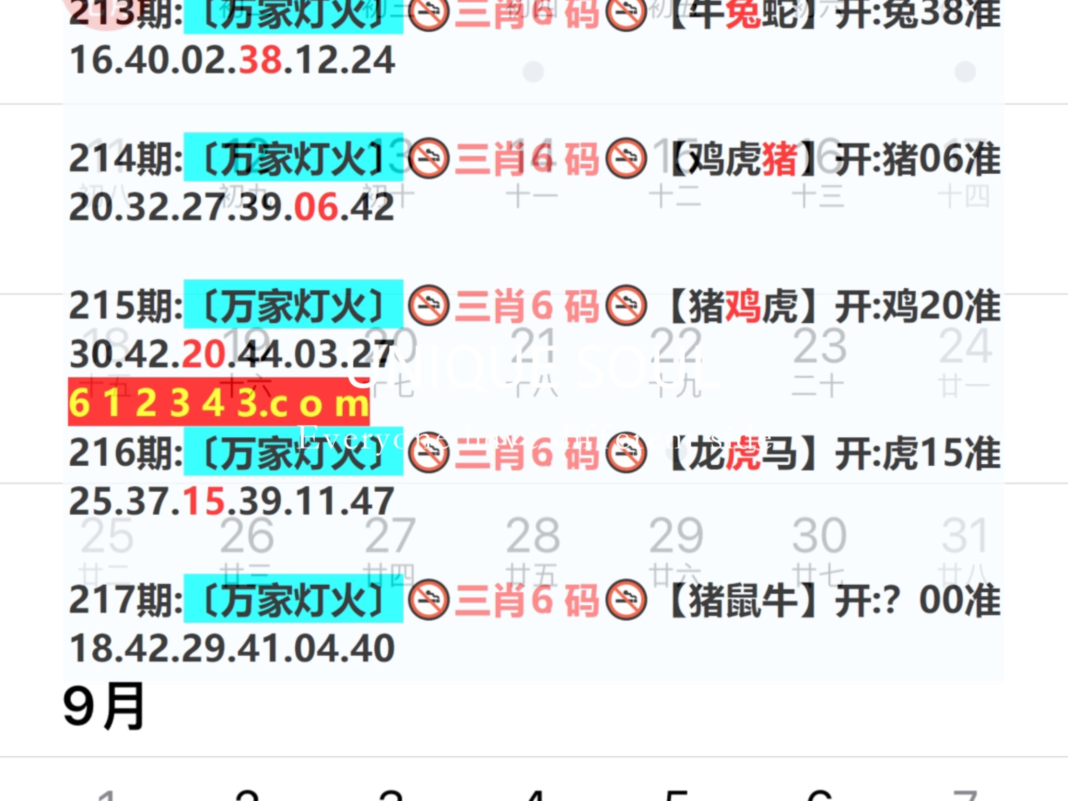 新奥2024一肖一码,稳固计划实施_品味版34.539