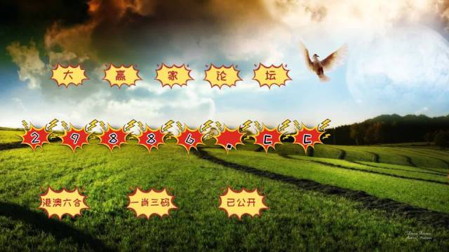 澳门4949最快开奖结果,最新数据挖解释明_抓拍版23.386