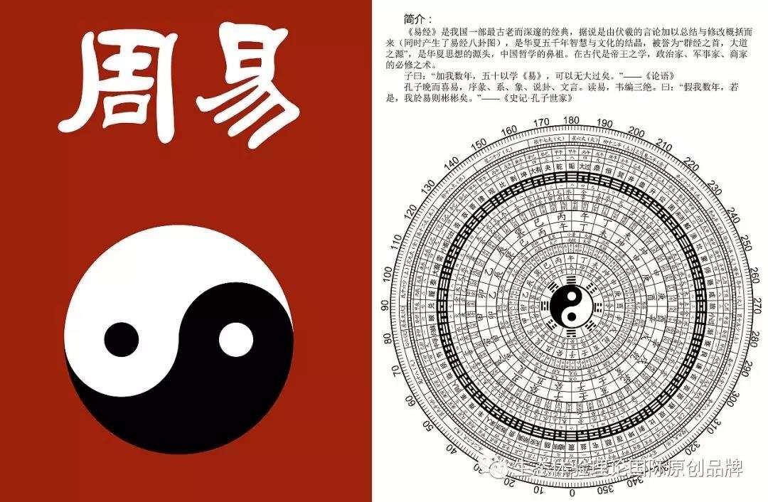 新闻中心 第243页